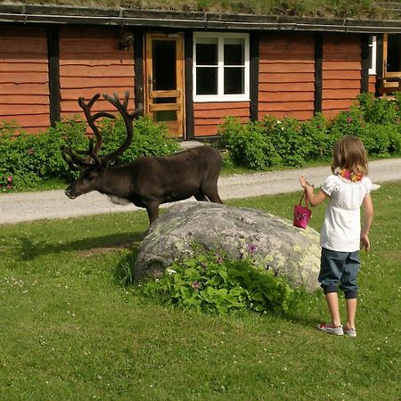 Femundtunet Drevsjø Exteriér fotografie