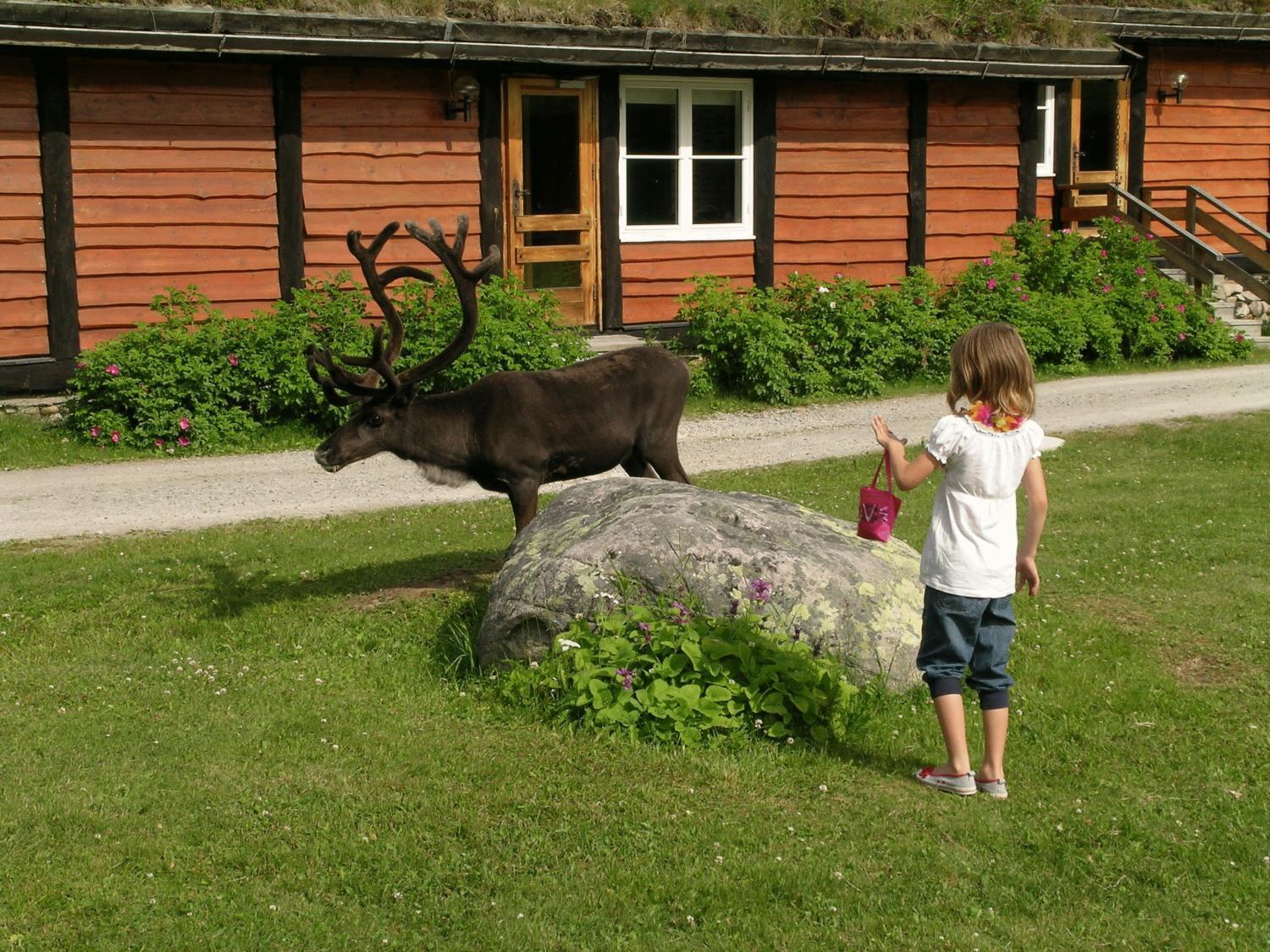 Femundtunet Drevsjø Exteriér fotografie
